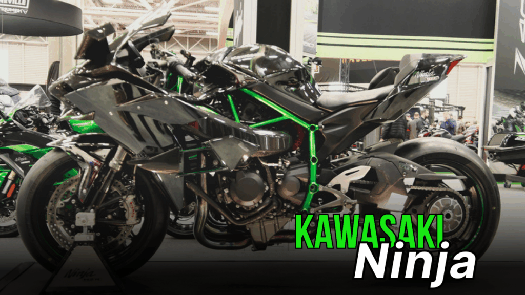 Kawasaki Ninja 300 Fuel Economy 2025